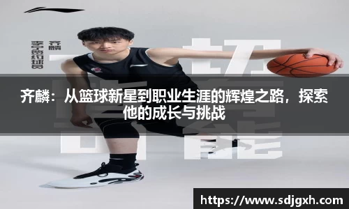 熊猫体育